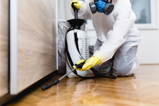 Best Pest Control Near Me  in Crooked Lake Park, FL