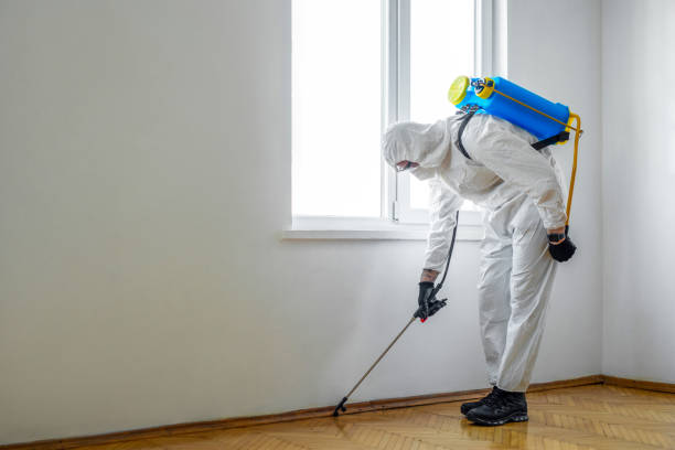 Trusted Crooked Lake Park, FL Pest Control Experts
