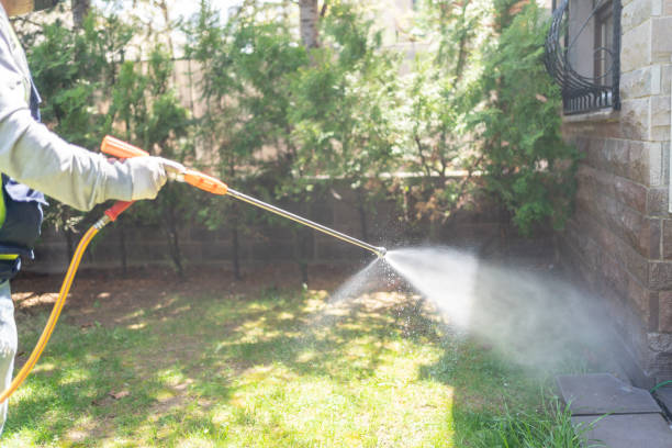 Best Local Pest Control Services  in Crooked Lake Park, FL
