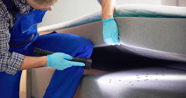 Best Mosquito Control Services  in Crooked Lake Park, FL